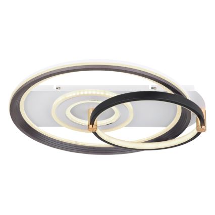 Globo 48459-46 - LED dimmelhető mennyezeti lámpa ANI LED/46W/230V 2700-6000K 48x52 cm + távirányító