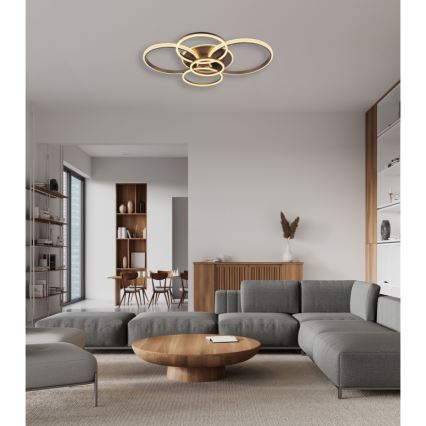 Globo - LED Mennyezeti lámpa LED/70W/230V 3000K 88x110 cm antracit