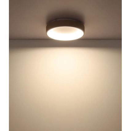 Globo - Dimmelhető mennyezeti LED lámpa LED/36W/230V 2700–6000K átm. 38 cm + távirányító