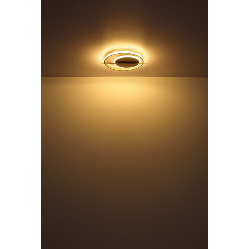 Globo - LED Mennyezeti lámpa LED/36W/230V