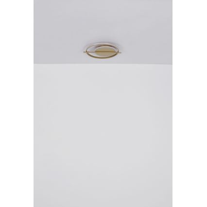 Globo - LED Mennyezeti lámpa LED/36W/230V