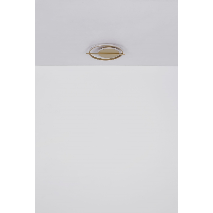 Globo - LED Mennyezeti lámpa LED/36W/230V