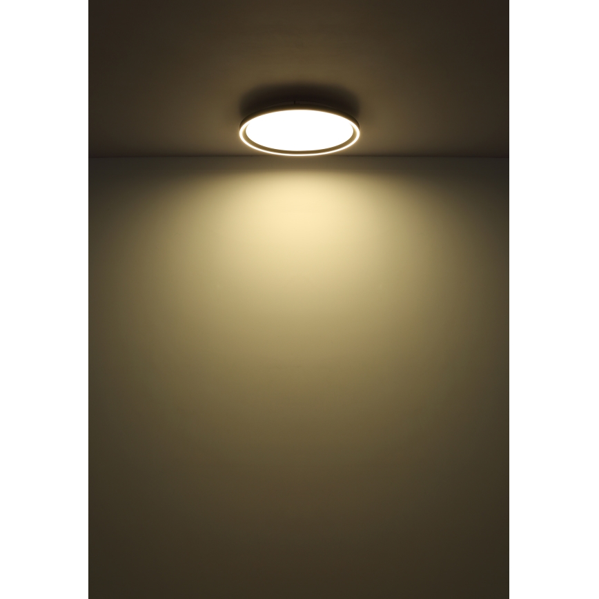 Globo - LED Dimmelhető mennyezeti lámpa LED/48W/230V átm. 50 cm 2700-6000K + távirányítás