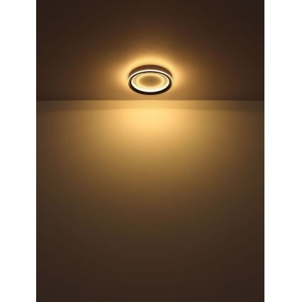 Globo - LED Dimmelhető mennyezeti lámpa LED/24W/230V 2700-6000K + távirányítás