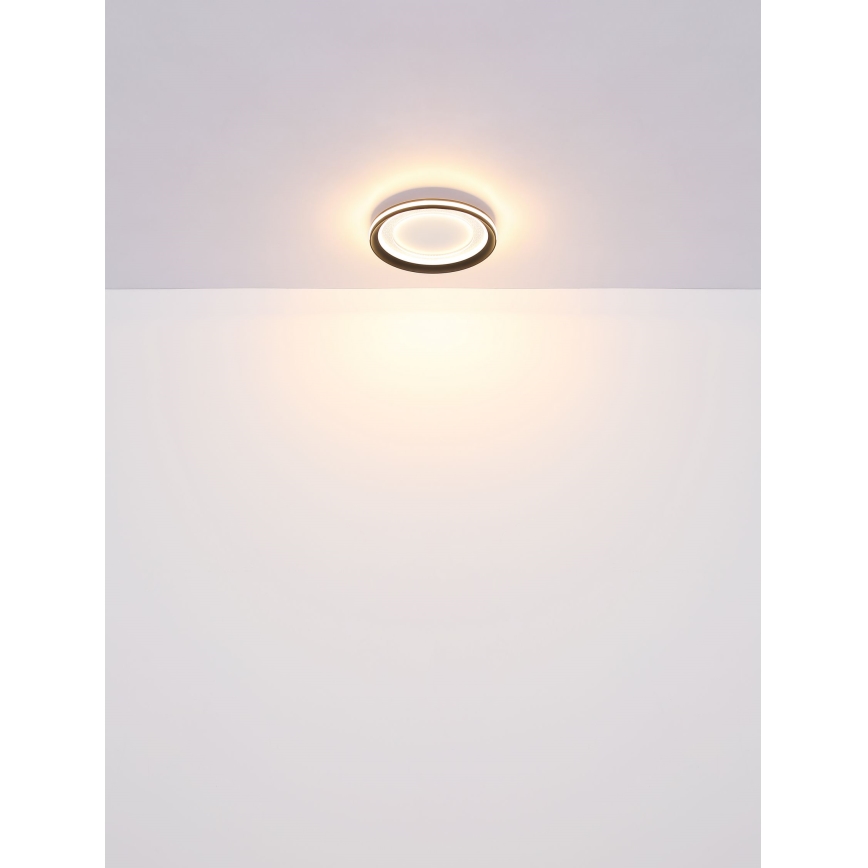 Globo - LED Dimmelhető mennyezeti lámpa LED/24W/230V 2700-6000K + távirányítás