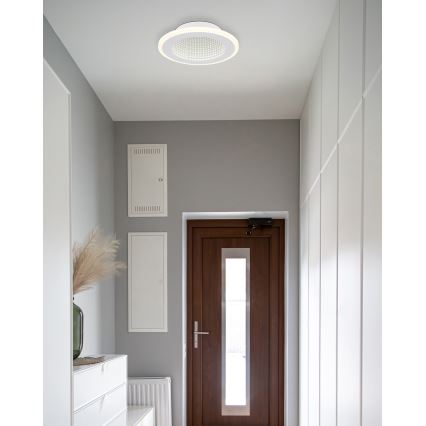 Globo - LED Mennyezeti lámpa LED/12W/230V 4000K