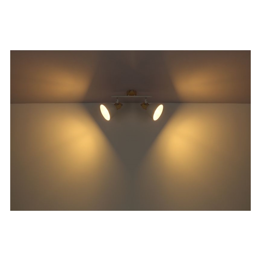 Globo - Spotlámpa 2xE27/40W/230V