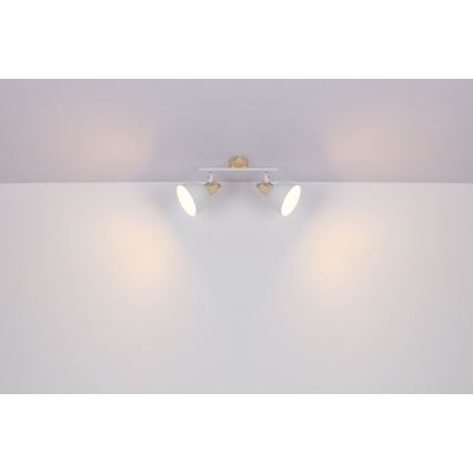 Globo - Spotlámpa 2xE27/40W/230V