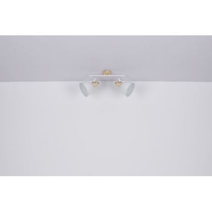 Globo - Spotlámpa 2xE27/40W/230V