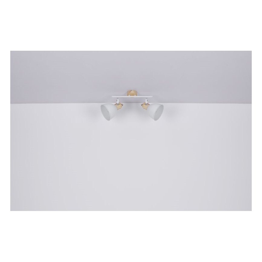 Globo - Spotlámpa 2xE27/40W/230V