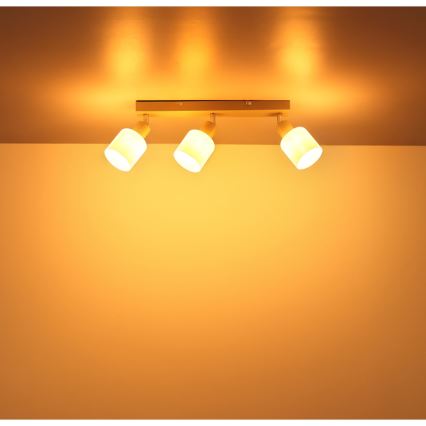 Globo - Spotlámpa 3xE14/25W/230V