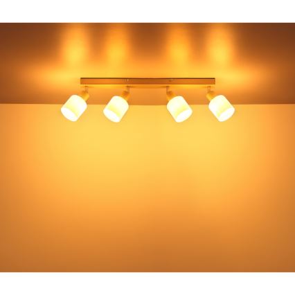 Globo - Spotlámpa 4xE14/25W/230V