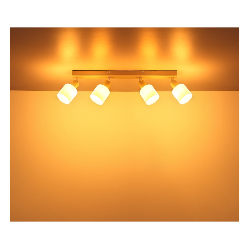 Globo - Spotlámpa 4xE14/25W/230V