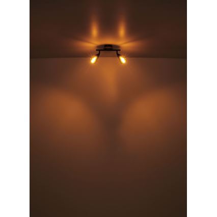 Globo - Spotlámpa 2xE14/25W/230V