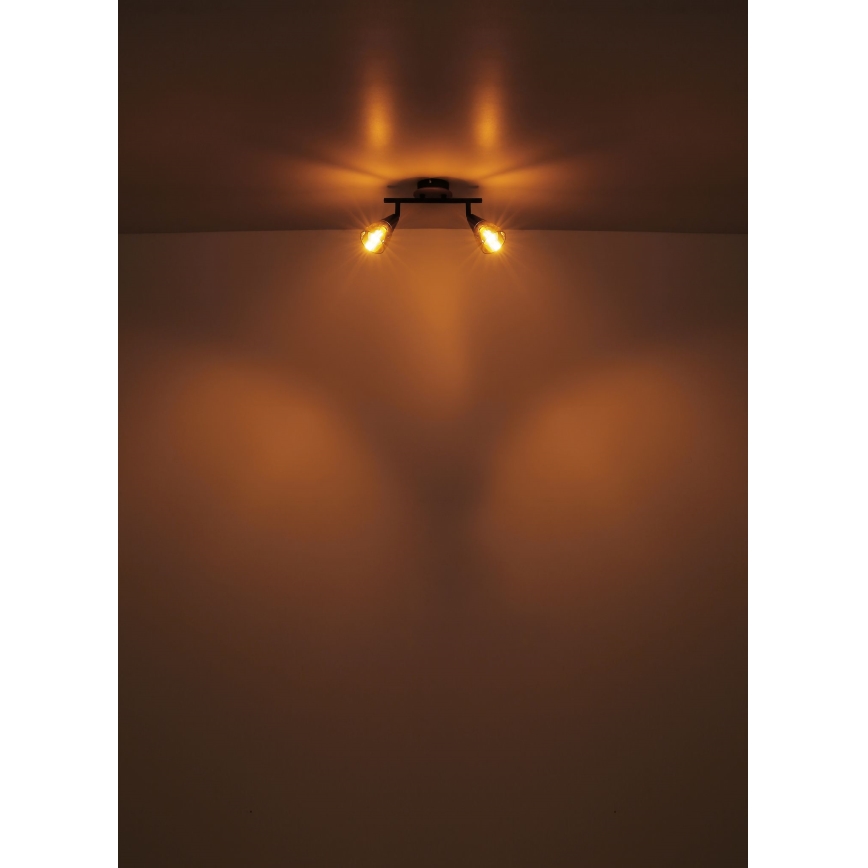 Globo - Spotlámpa 2xE14/25W/230V