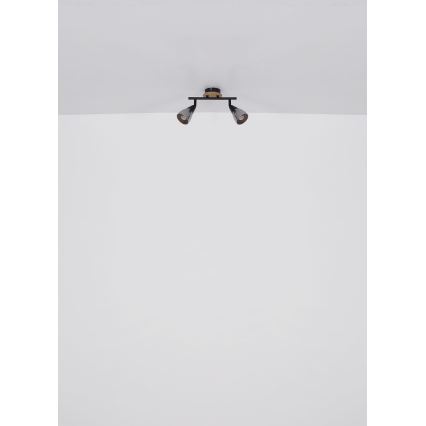 Globo - Spotlámpa 2xE14/25W/230V