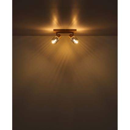 Globo - Spotlámpa 2xE14/40W/230V