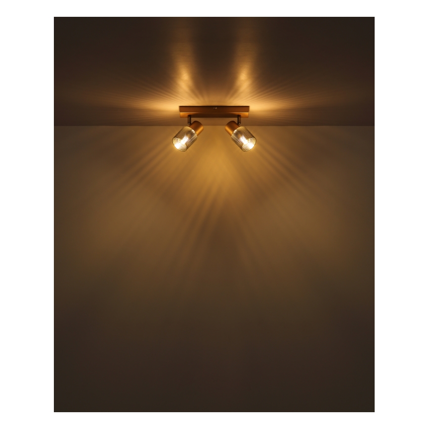 Globo - Spotlámpa 2xE14/40W/230V