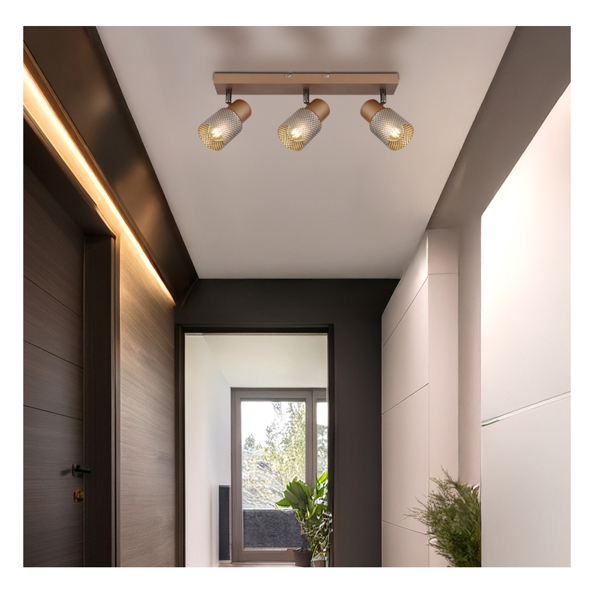 Globo - Spotlámpa 3xE14/40W/230V