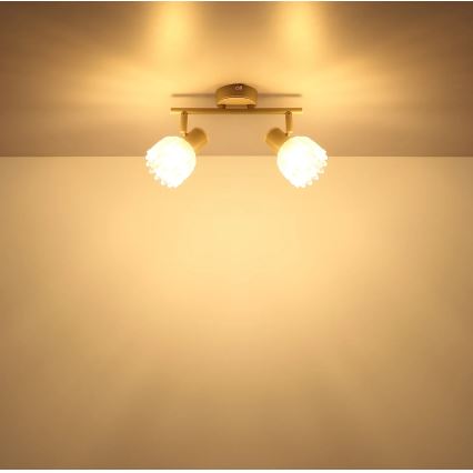 Globo - Spotlámpa 2xE14/40W/230V