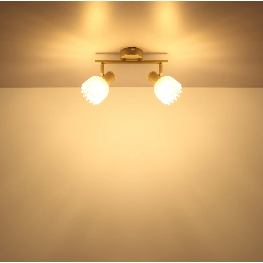 Globo - Spotlámpa 2xE14/40W/230V