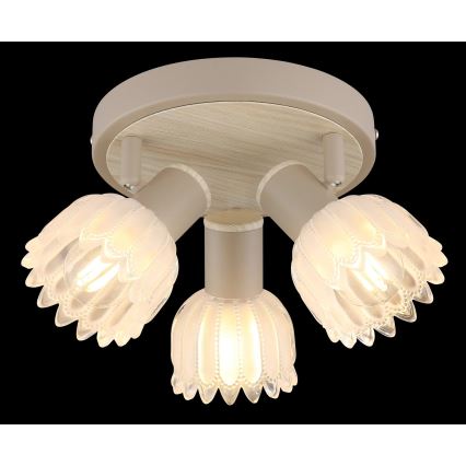 Globo - 3 izzós spotlámpa, 3xE14/40W/230V