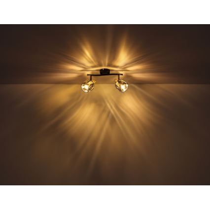 Globo - Spotlámpa 2xE14/40W/230V