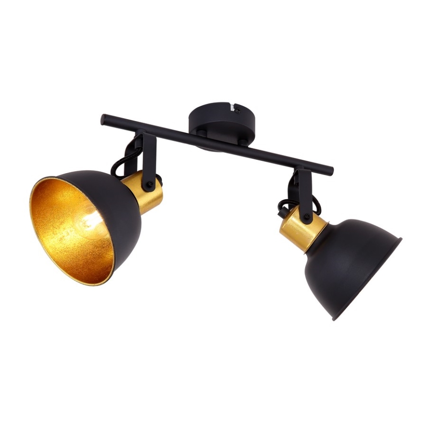 Globo 54655-2 - Spotlámpa FILLO 2xE14/25W/230V