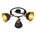 Globo 54655-3 - Spotlámpa FILLO 3xE14/25W/230V