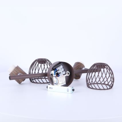 Globo 54817-2 - Spotlámpa ISABELLE 2xE14/40W/230V