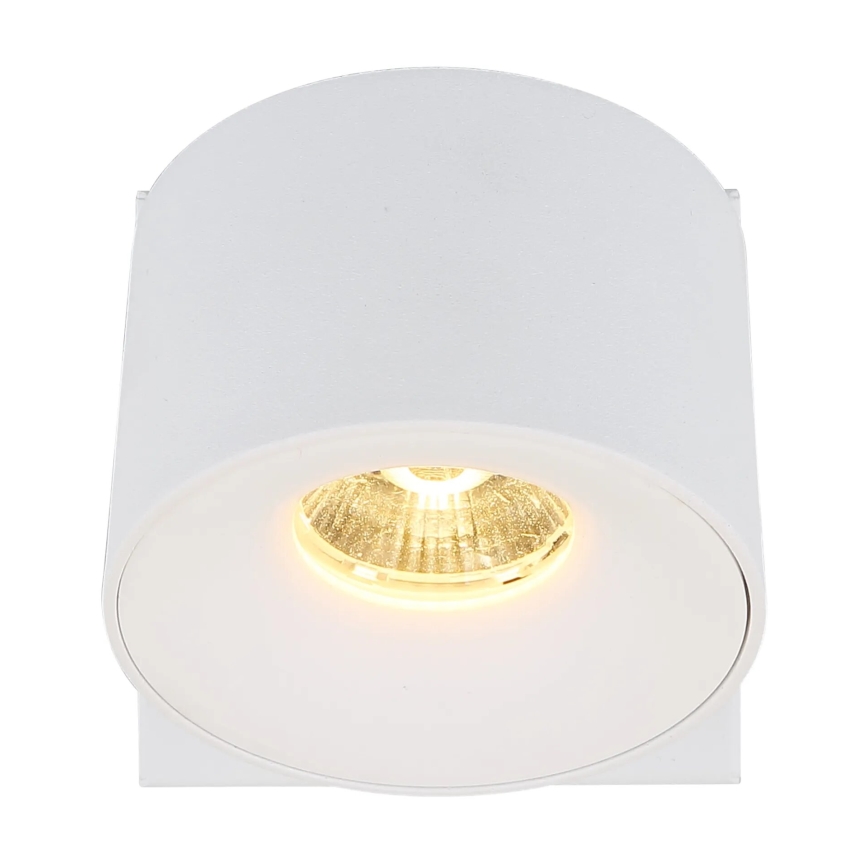 Globo - LED Fali spotlámpa LED/6W/230V fehér