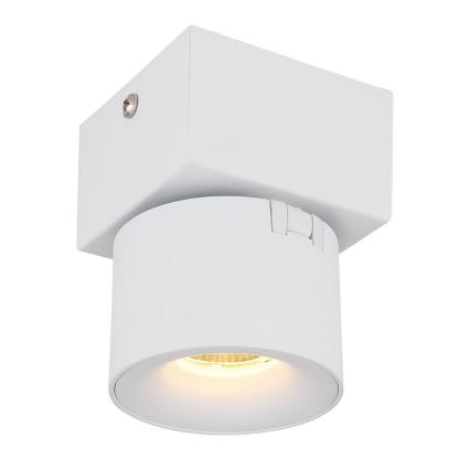 Globo - LED Fali spotlámpa LED/6W/230V fehér