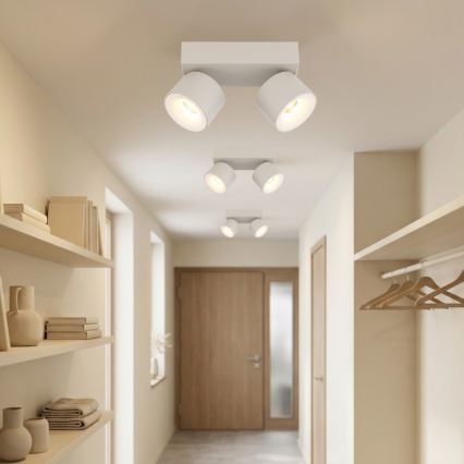 Globo - LED spotlámpa 2xLED/6W/230V