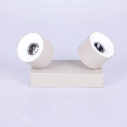 Globo - LED spotlámpa 2xLED/6W/230V