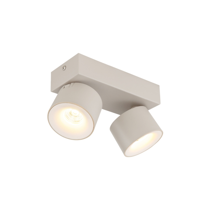 Globo - LED spotlámpa 2xLED/6W/230V