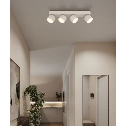 Globo - LED spotlámpa 4xLED/6W/230V