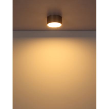 Globo - LED mennyezeti lámpa LED/12W/230V átm. 15 cm 3000K sárgaréz