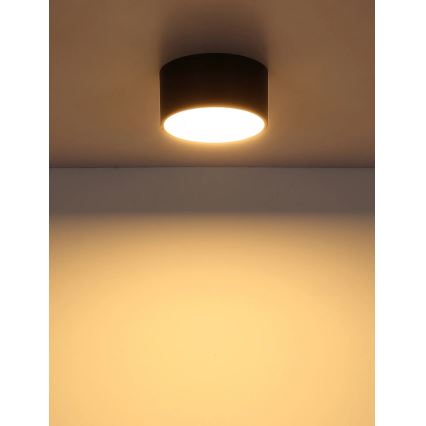Globo - LED mennyezeti lámpa LED/12W/230V 3000K átm. 15 cm fekete