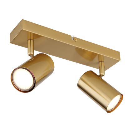 Globo - Spotlámpa 2xGU10/35W/230V arany