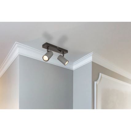 Globo - Spotlámpa 2xGU10/25W/230V