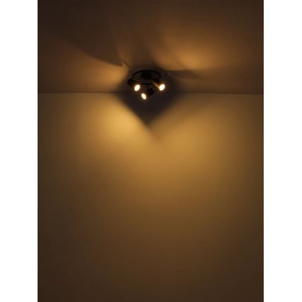 Globo - Spotlámpa 3xGU10/25W/230V fekete