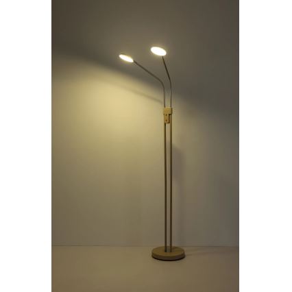 Globo - Dimmelhető LED állólámpa 2xLED/6,5W/230V 2700/3350/4000K bézs