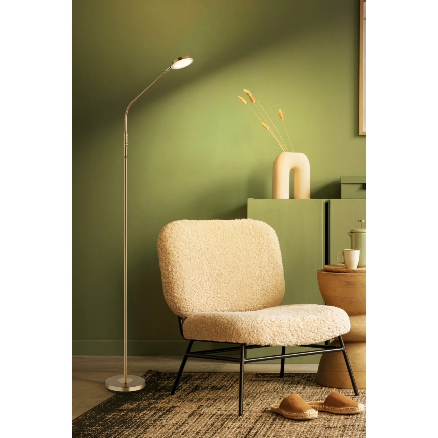 Globo - LED érintéses dimmelhető állólámpa LED/6,5W/230V 2700/3350/4000K sárgaréz