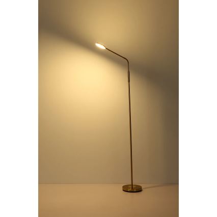 Globo - LED érintéses dimmelhető állólámpa LED/6,5W/230V 2700/3350/4000K sárgaréz