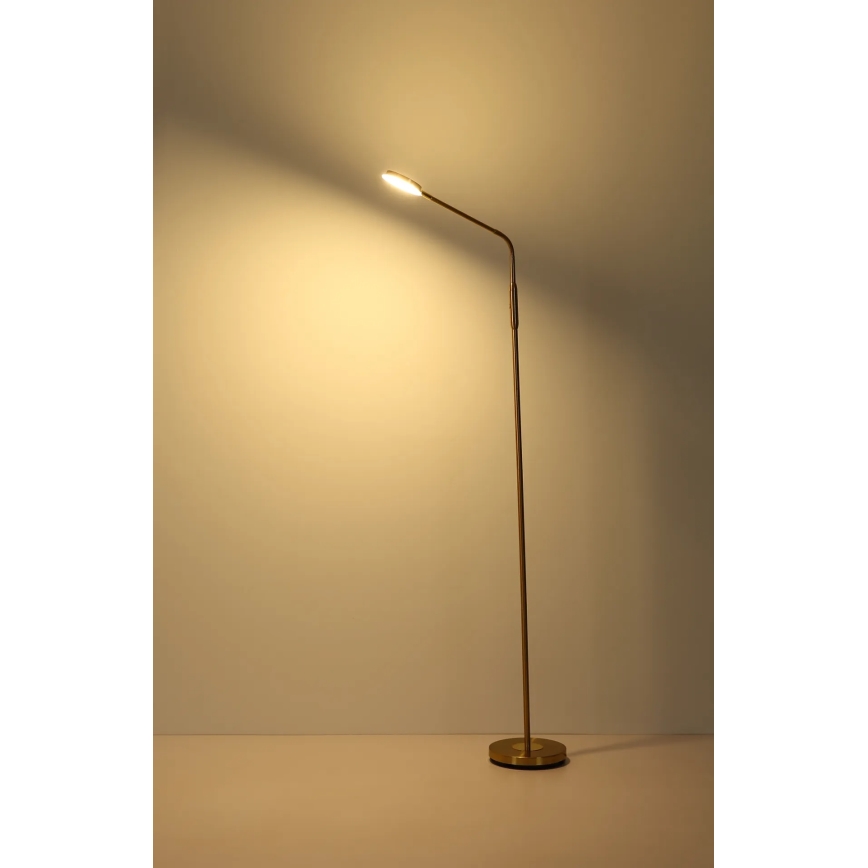 Globo - LED érintéses dimmelhető állólámpa LED/6,5W/230V 2700/3350/4000K sárgaréz