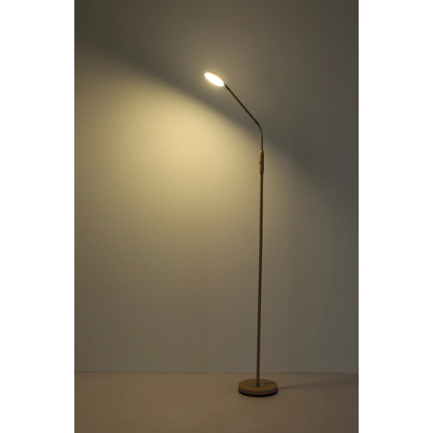 Globo - LED érintéssel dimmelhető állólámpa LED/6,5W/230V 2700/3350/4000K bézs