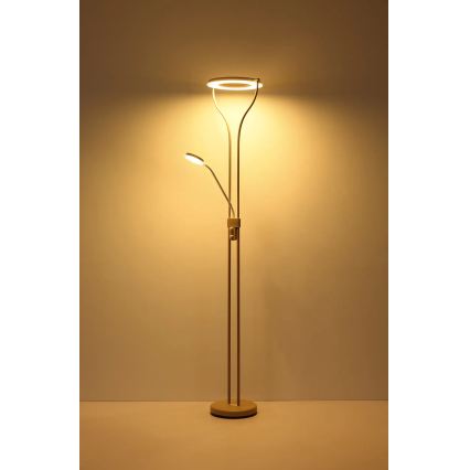 Globo - dimmelhető LED állólámpa LED/20W/230V + LED/4W 3000K