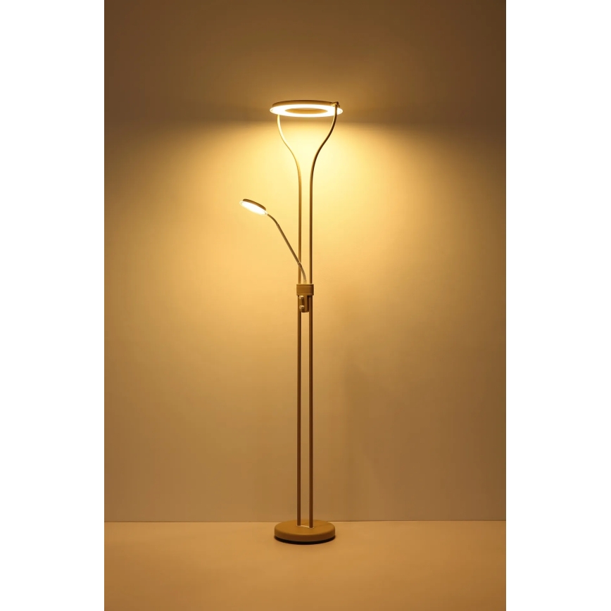 Globo - dimmelhető LED állólámpa LED/20W/230V + LED/4W 3000K