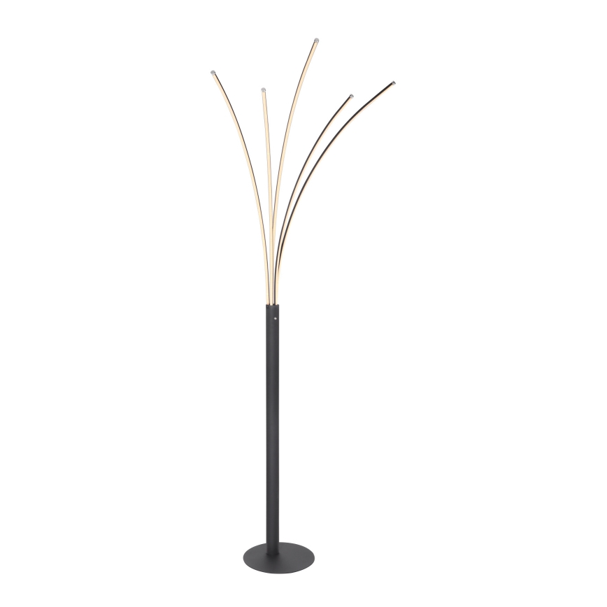 Globo - LED dimmelhető érintésvezérlésű állólámpa LED/36W/230V fekete