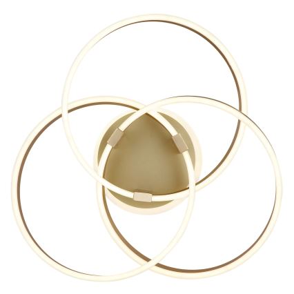 Globo - LED dimmelhető mennyezeti lámpatest LED/56W/230V 2700-6000K 57,5x60 cm aranyszínű + távirányító